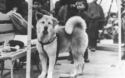 La historia de Hachiko, el perro fiel