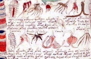 voynich-manuscript-1830x1200