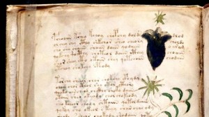 voynich-manuscrito