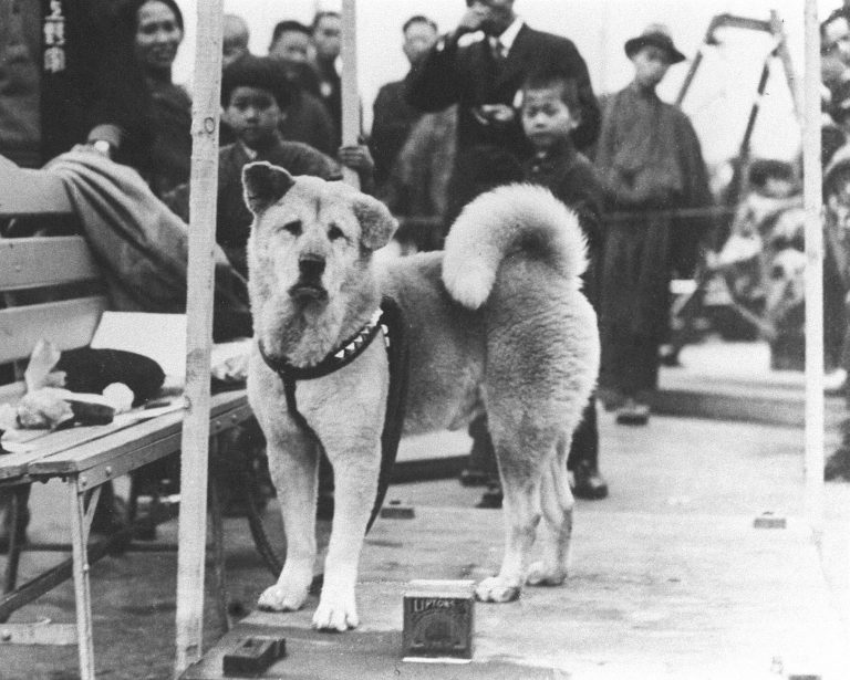 La historia de Hachiko, el perro fiel