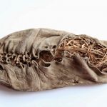 Un repaso histórico de los inicios del calzado