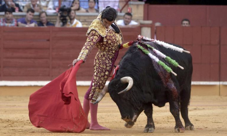 Corridas de Toros, ¿Cómo se originó esta tradición?