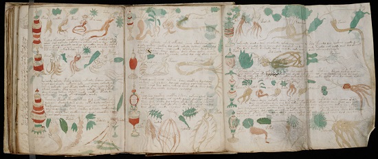 Voynich_Manuscript_(162)